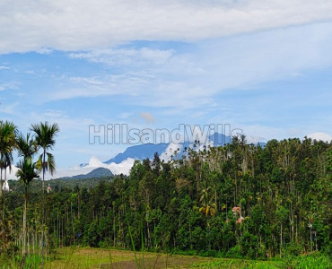 4 acres agriculture land for sale in sulthan bathery wayanad