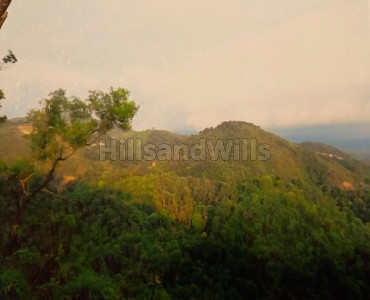12 acres residential plot for sale in madikeri coorg