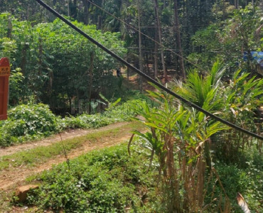 7 acres agriculture land for sale in wayanad near banasura sagar dam
