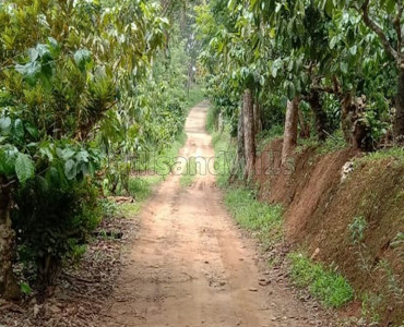 150 cents residential plot for sale in kenichira wayanad