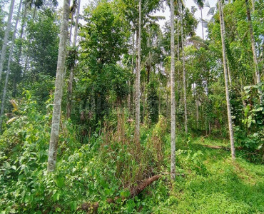 155 cents residential plot for sale in pulpally wayanad
