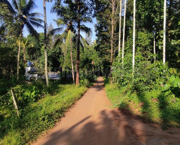 20 cents residential plot for sale in pulpally wayanad