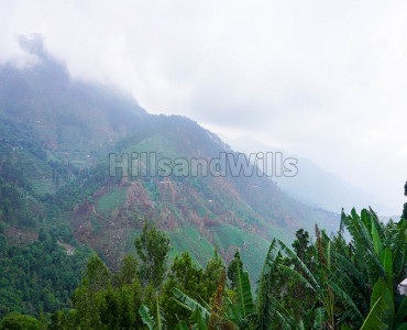 8 acres agriculture land for sale in kodaikanal