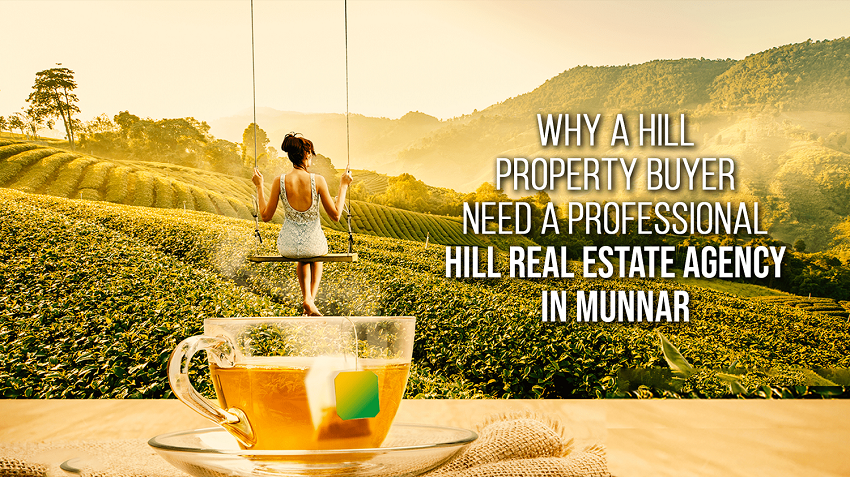 Why a Property Buyer need A  Professional Hill Real Estate Agency in Munnar?
